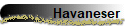 Havaneser
