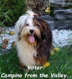 Vater:
Campino from the Valley..